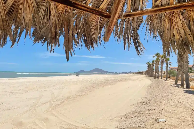 San Felipe fly in