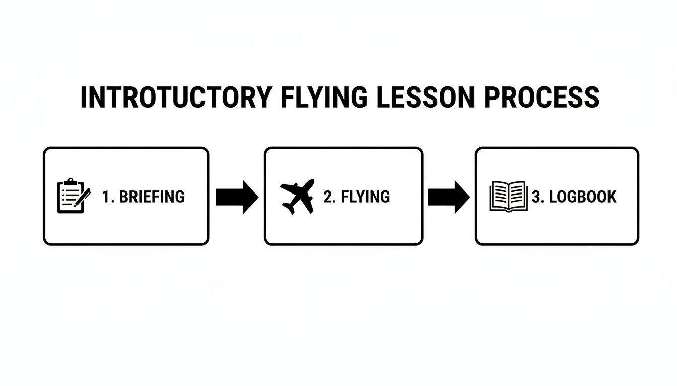 Your Guide to an Introductory Flying Lesson 2 A three-step flowchart shows the introductory flying lesson process: 1. Briefing, 2. Flying, and 3. Logbook.