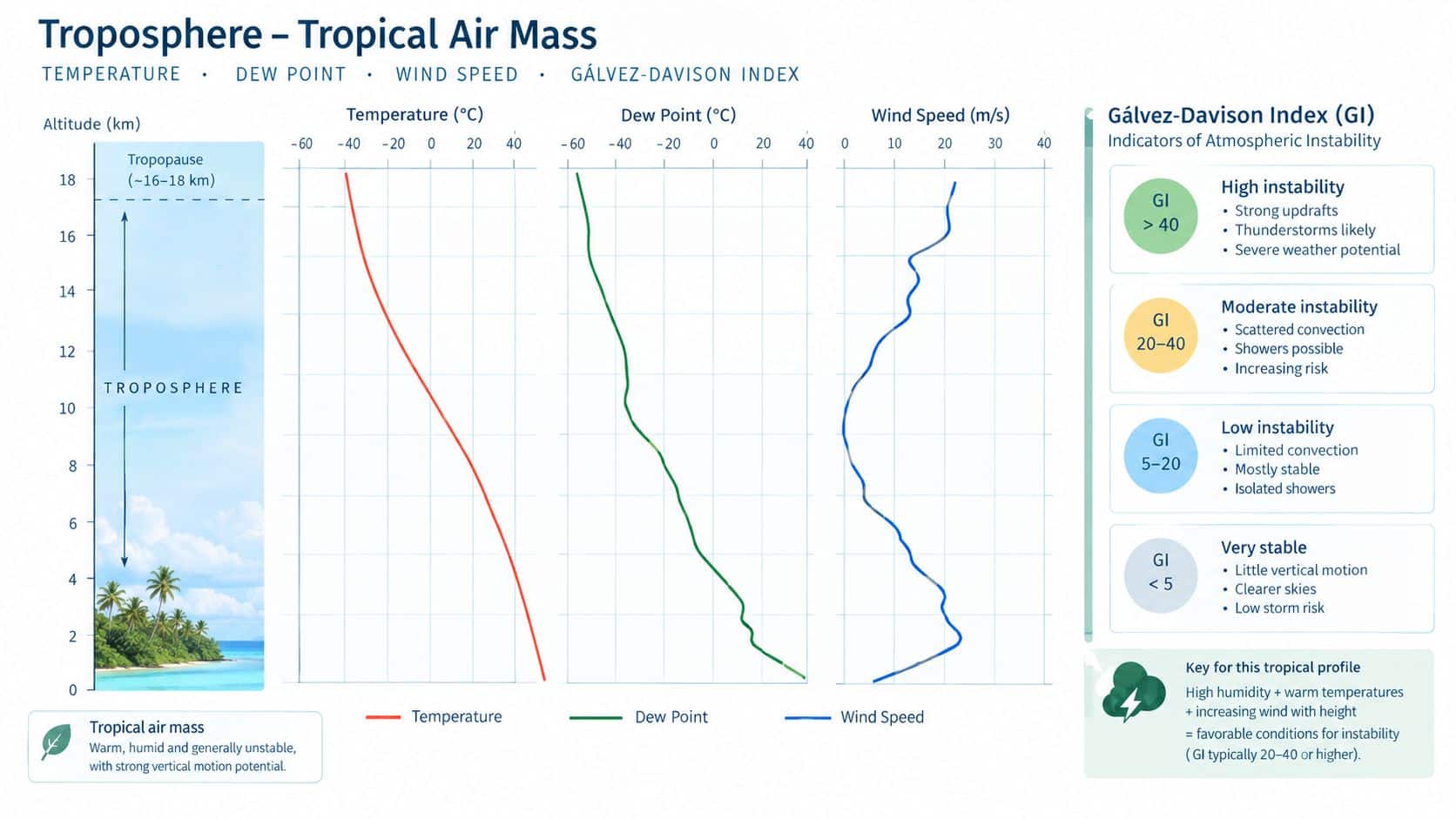 Tropical Air Mass: How Pilots Read Heat and Moisture 2 A scientific infographic showing atmospheric vertical profiles of temperature, dew point, and wind speed in the tropics.